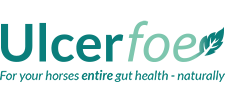 Ulcerfoe Logo