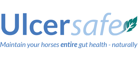 Ulcersafe Logo